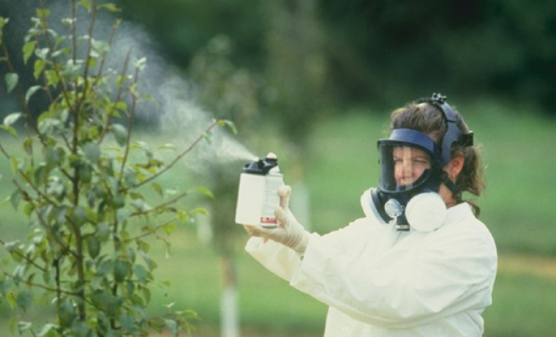 Пестициди наслідки. пестициди-токсичний удар по біосфері і людині