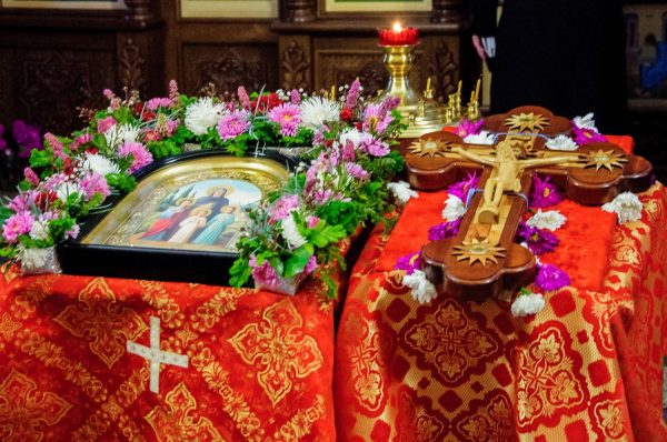 І ям їх необхідно засипати. Як ліквідувати вигрібну яму: всі способи засипки і маскування вигрібу