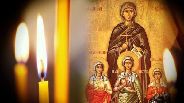 І ям їх необхідно засипати. Як ліквідувати вигрібну яму: всі способи засипки і маскування вигрібу