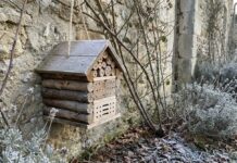 Побудуйте готель для бджіл із ялиці Дугласа: січневі DIY-виправлення для яскравого весняного саду