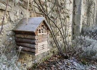 Побудуйте готель для бджіл із ялиці Дугласа: січневі DIY-виправлення для яскравого весняного саду
