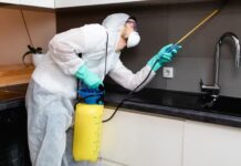 Як використовувати борну кислоту для позбавлення від тарганів