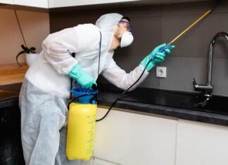 Як використовувати борну кислоту для позбавлення від тарганів